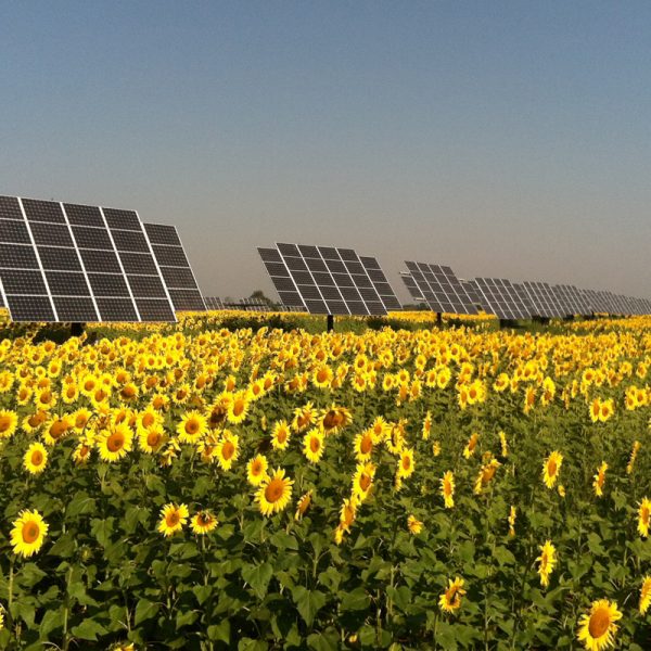 Tarla Solar Montajı İçin Güneş Enerjisi Çözümleri 2