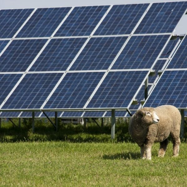 Tarla Solar Montajı İçin Güneş Enerjisi Çözümleri 4