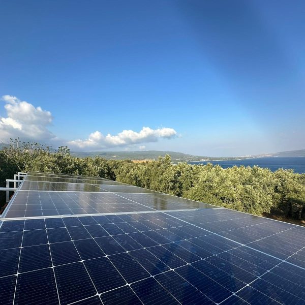 WhatsApp Image 2025 12 30 at 14 31 45 (10)